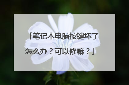 笔记本电脑按键坏了怎么办？可以修嘛？