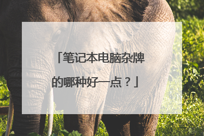 笔记本电脑杂牌的哪种好一点?