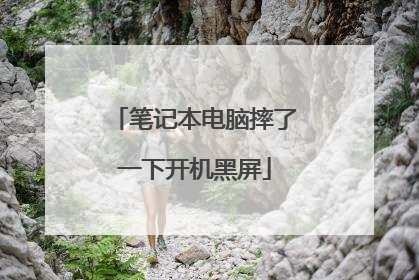 笔记本电脑摔了一下开机黑屏