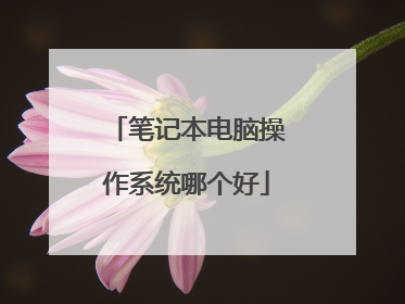 笔记本电脑操作系统哪个好