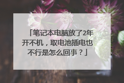 笔记本电脑放了2年开不机,取电池插电也不行是怎么回事?