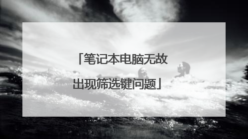 笔记本电脑无故出现筛选键问题