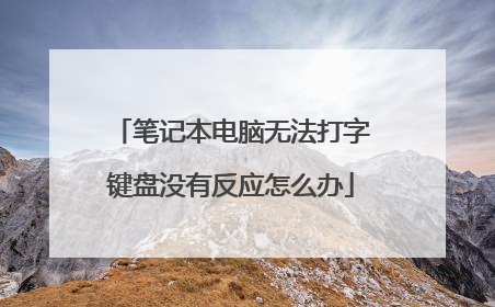 笔记本电脑无法打字键盘没有反应怎么办