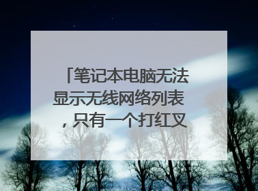 笔记本电脑无法显示无线网络列表,只有一个打红叉的电脑图标?