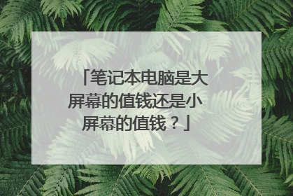 笔记本电脑是大屏幕的值钱还是小屏幕的值钱?