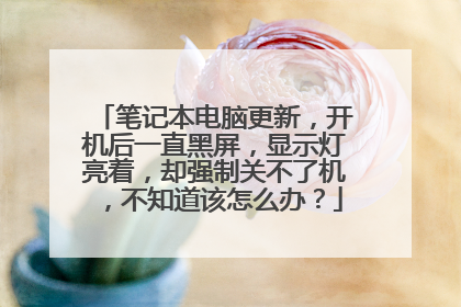 笔记本电脑更新,开机后一直黑屏,显示灯亮着,却强制关不了机,不知道该怎么办?