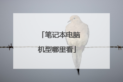 笔记本电脑机型哪里看