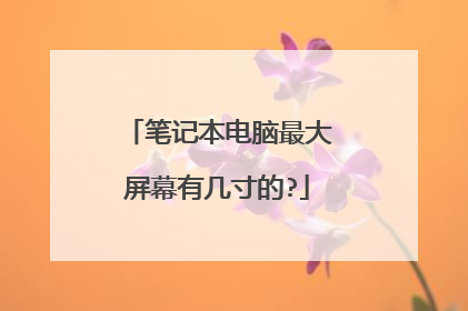 笔记本电脑最大屏幕有几寸的?