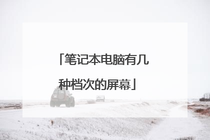 笔记本电脑有几种档次的屏幕
