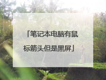 笔记本电脑有鼠标箭头但是黑屏