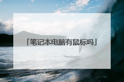 笔记本电脑有鼠标吗