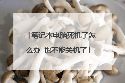 笔记本电脑死机了怎么办 也不能关机了