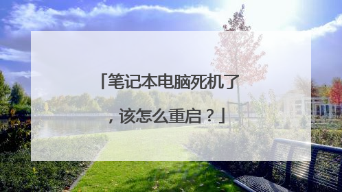笔记本电脑死机了，该怎么重启？