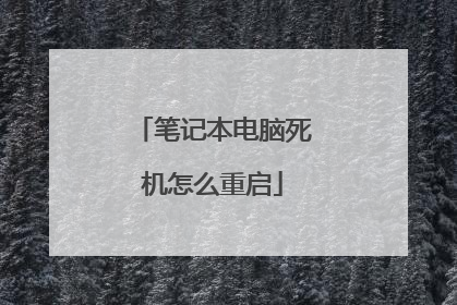 笔记本电脑死机怎么重启