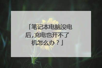 笔记本电脑没电后,充电也开不了机怎么办?