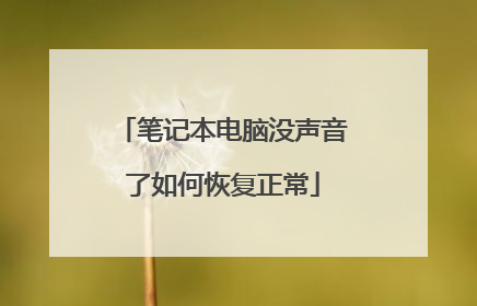 笔记本电脑没声音了如何恢复正常