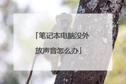 笔记本电脑没外放声音怎么办