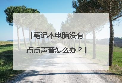 笔记本电脑没有一点点声音怎么办?