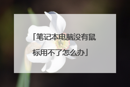 笔记本电脑没有鼠标用不了怎么办