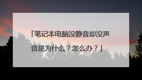 笔记本电脑没静音却没声音是为什么?怎么办?