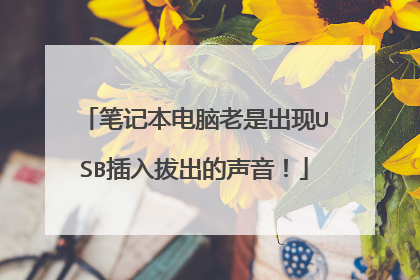 笔记本电脑老是出现USB插入拔出的声音！