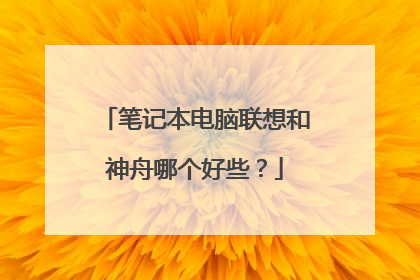 笔记本电脑联想和神舟哪个好些?