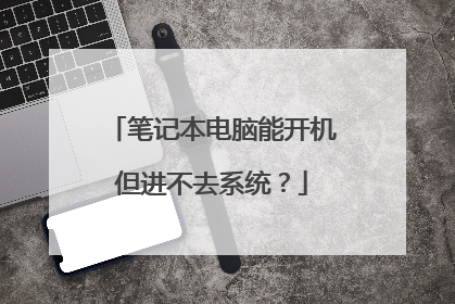 笔记本电脑能开机但进不去系统?