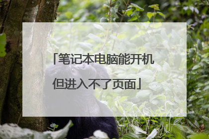 笔记本电脑能开机但进入不了页面