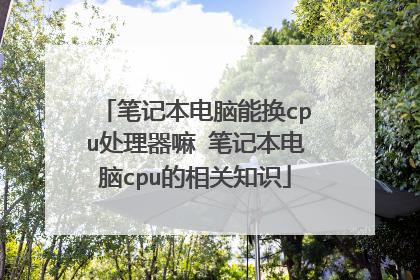 笔记本电脑能换cpu处理器嘛 笔记本电脑cpu的相关知识