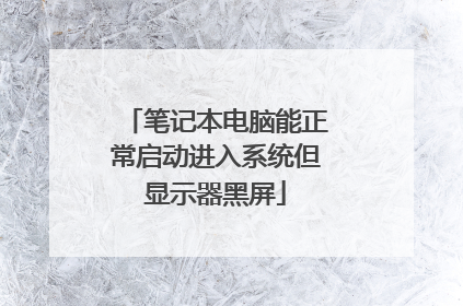 笔记本电脑能正常启动进入系统但显示器黑屏