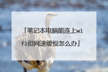笔记本电脑能连上wifi但网速缓慢怎么办