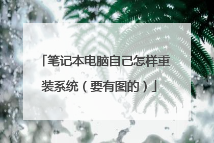 笔记本电脑自己怎样重装系统(要有图的)