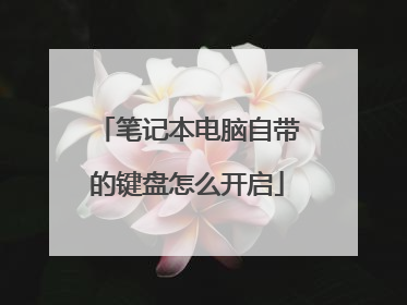 笔记本电脑自带的键盘怎么开启