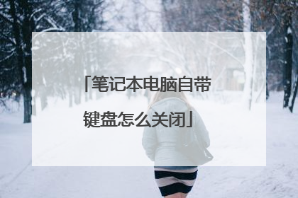 笔记本电脑自带键盘怎么关闭