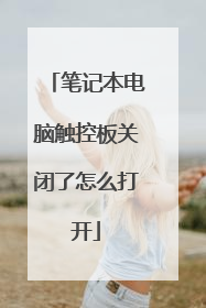 笔记本电脑触控板关闭了怎么打开