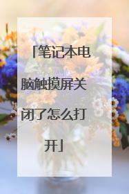 笔记本电脑触摸屏关闭了怎么打开