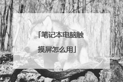 笔记本电脑触摸屏怎么用