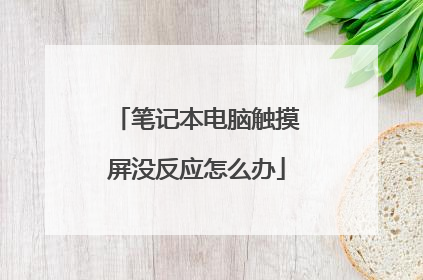 笔记本电脑触摸屏没反应怎么办