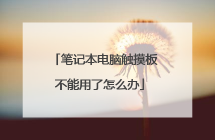 笔记本电脑触摸板不能用了怎么办
