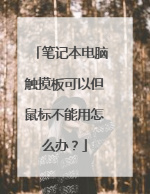 笔记本电脑触摸板可以但鼠标不能用怎么办？