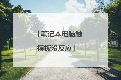 笔记本电脑触摸板没反应
