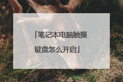 笔记本电脑触摸键盘怎么开启