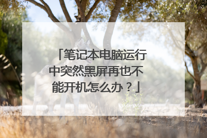 笔记本电脑运行中突然黑屏再也不能开机怎么办?