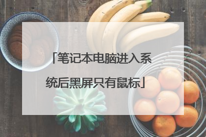 笔记本电脑进入系统后黑屏只有鼠标
