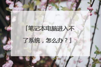 笔记本电脑进入不了系统,怎么办?