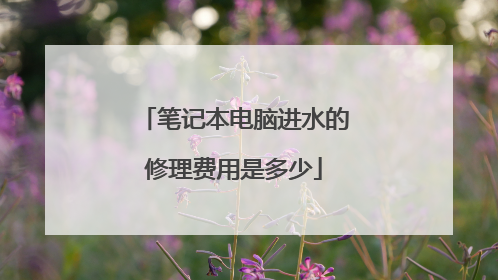笔记本电脑进水的修理费用是多少