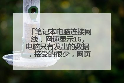 笔记本电脑连接网线,网速显示1G,电脑只有发出的数据,接受的很少,网页上不去怎么回事,