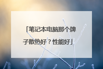 笔记本电脑那个牌子散热好?性能好