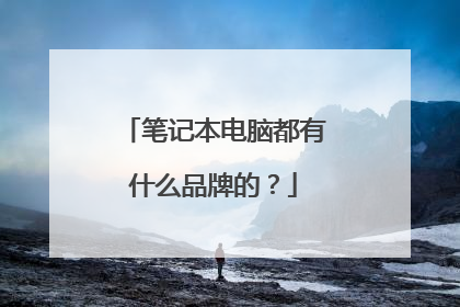 笔记本电脑都有什么品牌的？