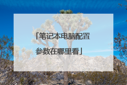 笔记本电脑配置参数在哪里看
